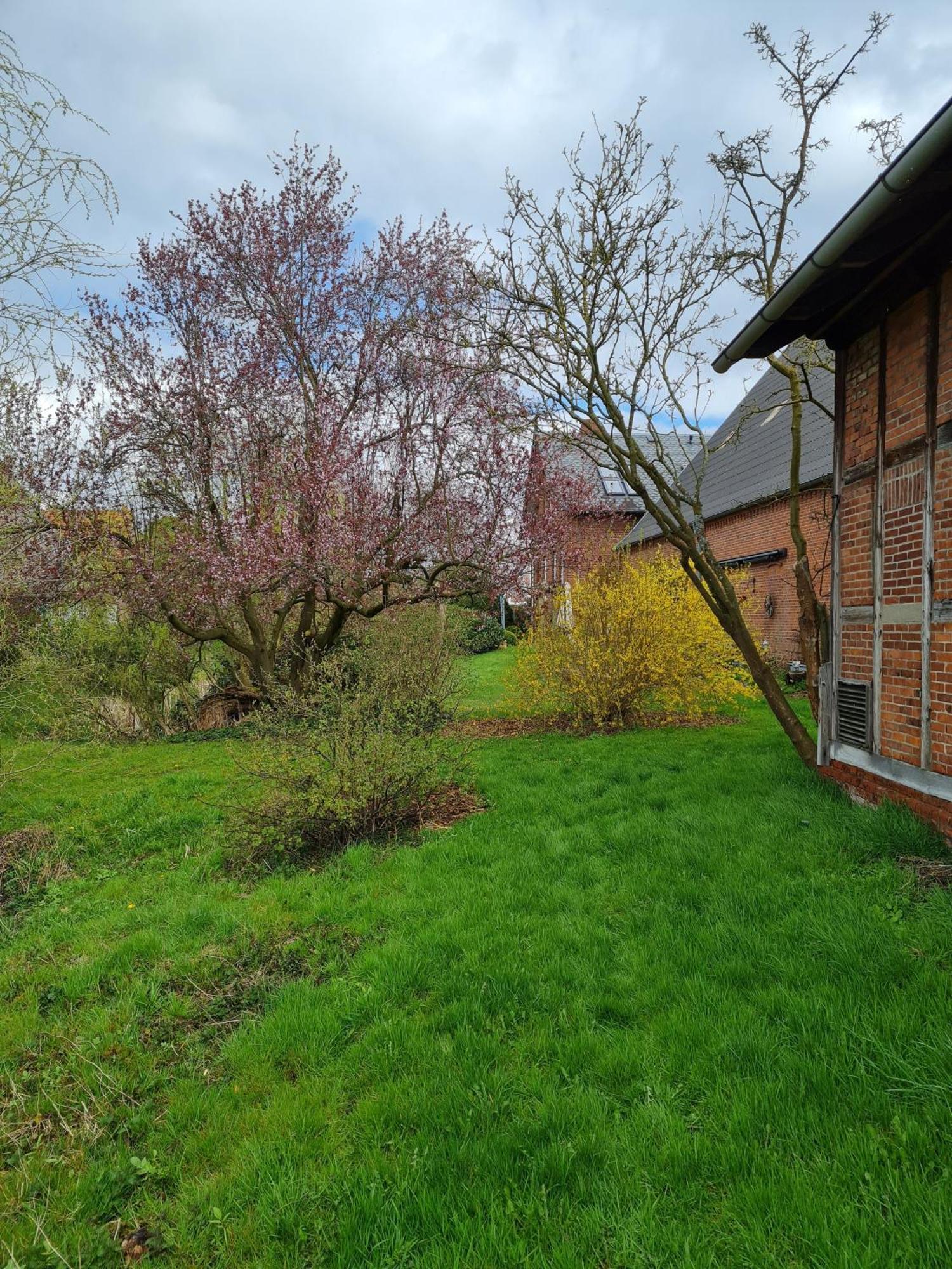 Ferienwohnung Annegret Schuback Йорк Екстериор снимка